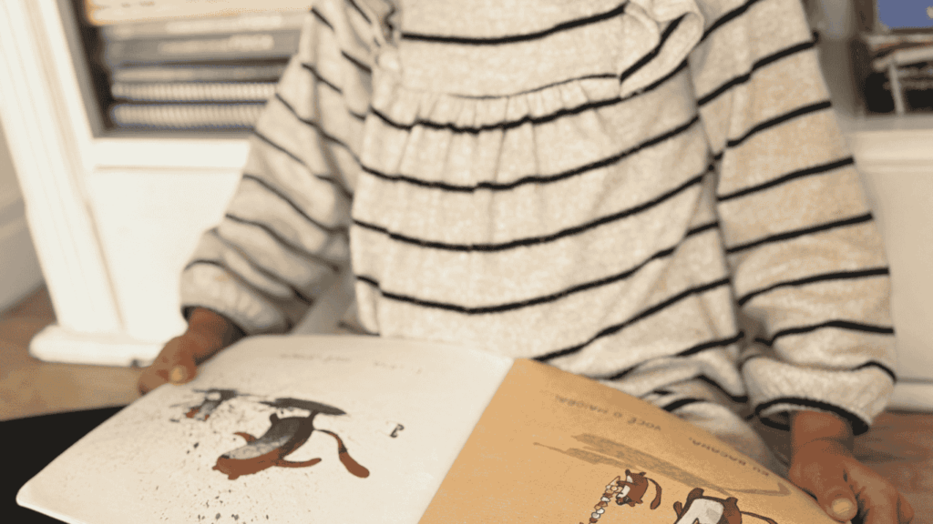 como alfabetizar com livros 